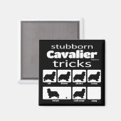 Stubborn Cavalier Tricks Magnet (Voorkant / Achterkant)