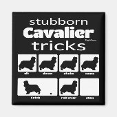 Stubborn Cavalier Tricks Magnet (Voorkant)