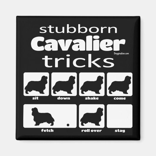 Stubborn Cavalier Tricks Magnet (Voorkant)
