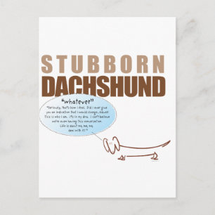 Stubborn Dachshund..WHATEVER! Briefkaart