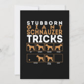 Stubborn Giant Schnauzer Dog Tricks Graphic Aankondiging (Voorkant)