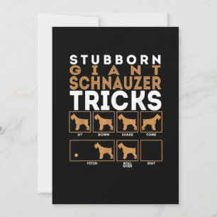 Stubborn Giant Schnauzer Dog Tricks Graphic Aankondiging