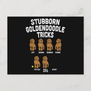 Stubborn Goldendole Tricks Funny Dog Trainer Briefkaart