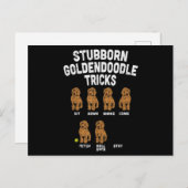 Stubborn Goldendole Tricks Funny Dog Trainer Briefkaart (Voorkant / Achterkant)