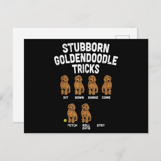 Stubborn Goldendole Tricks Funny Dog Trainer Briefkaart (Voorkant / Achterkant)
