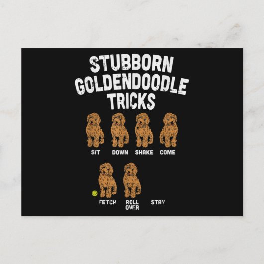 Stubborn Goldendole Tricks Funny Dog Trainer Briefkaart (Voorkant)