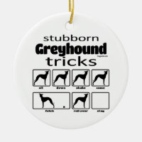 Stubborn Greyhound Tricks