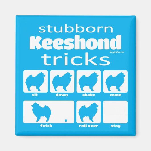 Stubborn Keeshond Tricks Magnet (Voorkant)
