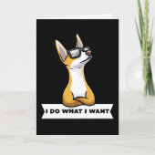 Stubborn Podenco dog Kaart (Voorkant)