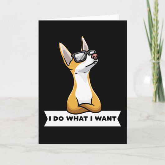 Stubborn Podenco dog Kaart (Voorkant)