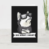 Stubborn Pomsky Dog Funny Kaart (Voorkant)