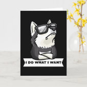 Stubborn Pomsky Dog Funny Kaart (Gele Bloem)