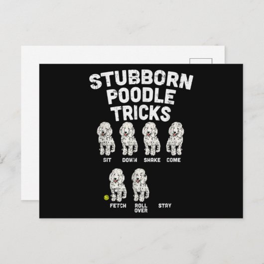 Stubborn Poodle Tricks Funny Dog Lover Owner Briefkaart (Voorkant / Achterkant)