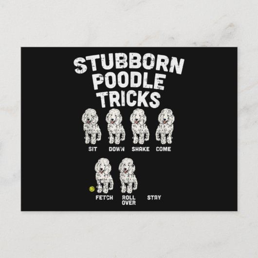 Stubborn Poodle Tricks Funny Dog Lover Owner Briefkaart (Voorkant)
