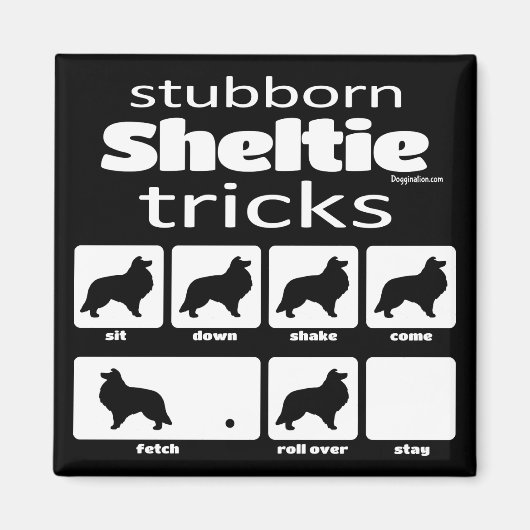 Stubborn Sheltie Tricks Magneet (Voorkant)