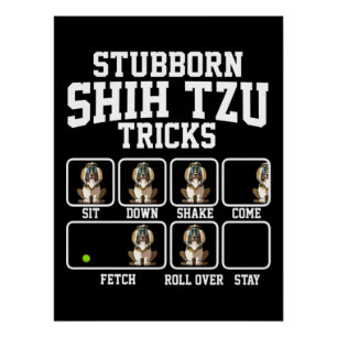 Stubborn Shih Tzu Dog Tricks Perfect Poster