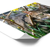 Stubby Poster (Hoek)