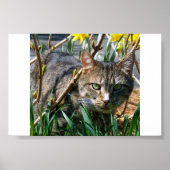 Stubby Poster (Voorkant)