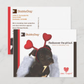 StubbyDog Valentijn #2 Feestdagenkaart (Voorkant / Achterkant)