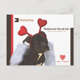 StubbyDog Valentijn #2 Feestdagenkaart