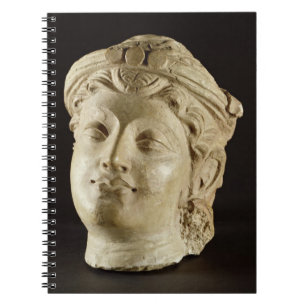 Stuc hoofd, Gandhara, 4e eeuw na Christus Notitieboek