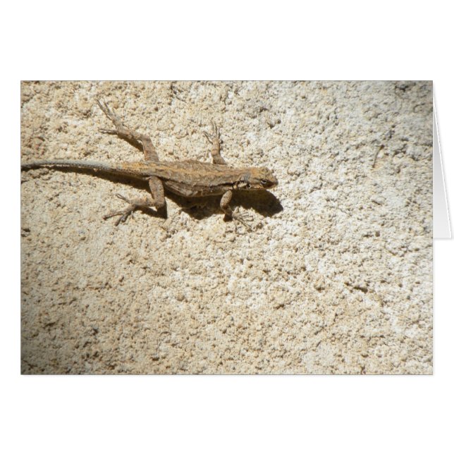 Stucco lizard card (Voorkant Horizontaal)