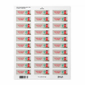 Stucco Red Doors Saguaro Cactus Etiket (Full Sheet)