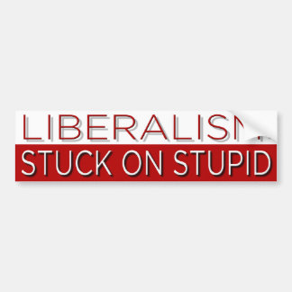Stuck op Stupid Bumpersticker