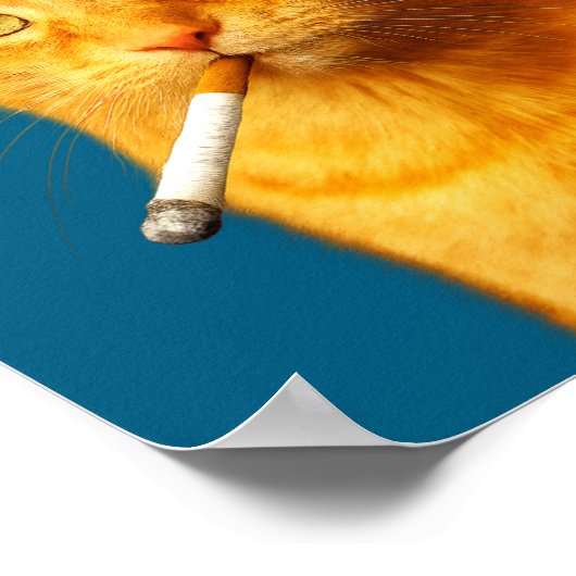 Stud Cool Funny Cat Meme Smoking Cat Cigarette  Poster (Hoek)