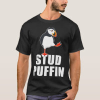 Stud Puffin Grappige Zeevogel Puffins
