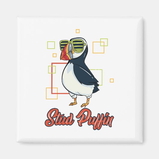 Stud Puffin Seaside Bird Illustration Magneet (Voorkant)