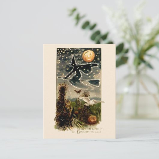 Studeer de sterren op Halloween Night-Briefkaart Briefkaart (Staand voorkant)