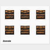 Student Harpist Ronde Sticker (Vel)