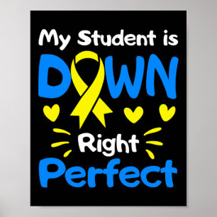 Student is down right perfect down syndroom AWAREN Poster