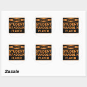 Student Mandolin Player Ronde Sticker (Vel)