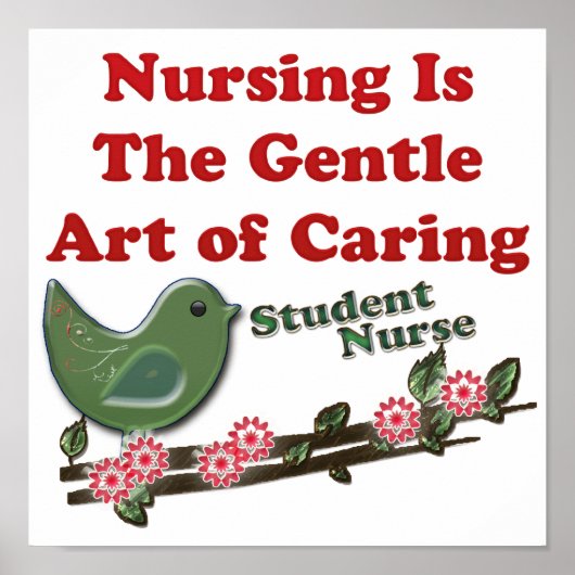 Student verpleegster poster (Voorkant)