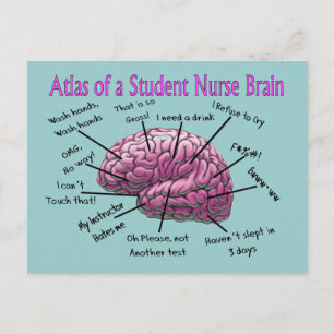 Student zurse Gifts Briefkaart