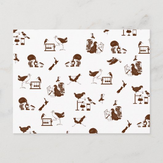 Studenten vogelwetenschappen in Nieuw-Zeeland Briefkaart (Voorkant)