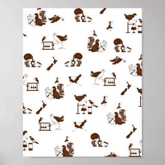 Studenten vogelwetenschappen in Nieuw-Zeeland Poster (Voorkant)