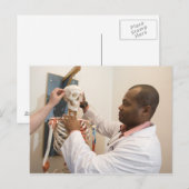 Studentenartsen bestuderen anatomie op een skelet briefkaart (Voorkant / Achterkant)