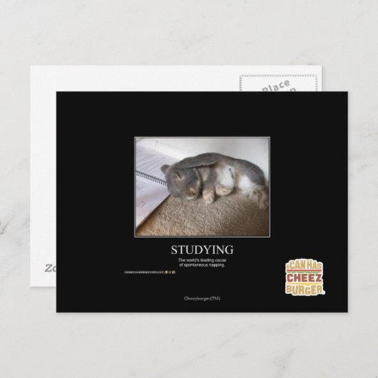 Studie Briefkaart (Voorkant / Achterkant)