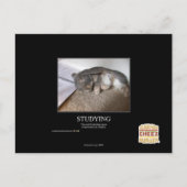 Studie Briefkaart (Voorkant)