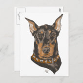 Studie Doberman Pinscher Head Briefkaart (Voorkant / Achterkant)