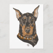 Studie Doberman Pinscher Head Briefkaart (Voorkant)