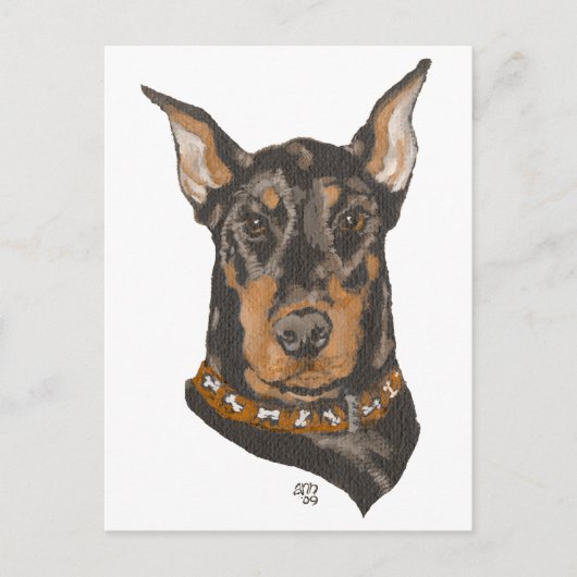 Studie Doberman Pinscher Head Briefkaart (Voorkant)