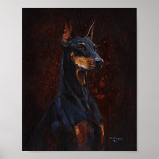 Studie Doberman Pinscher Poster