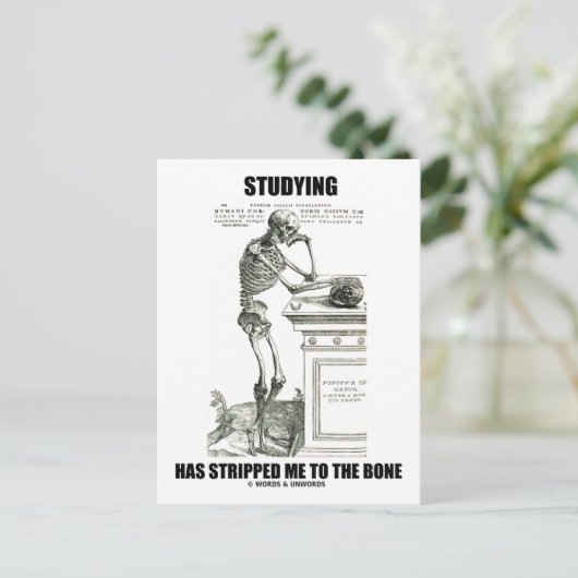 Studie heeft me gestript naar de botten (skelet) briefkaart (Staand voorkant)