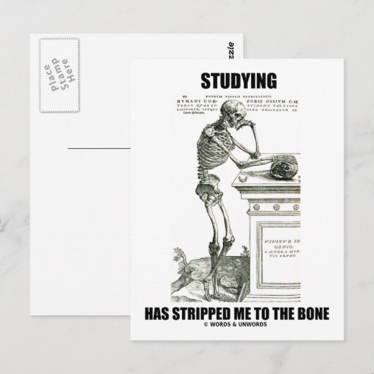 Studie heeft me gestript naar de botten (skelet) briefkaart (Voorkant / Achterkant)