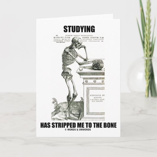Studie heeft me gestript naar de botten (skelet) kaart (Voorkant)