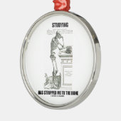 Studie heeft me gestript naar de botten (skelet) metalen ornament (Links)